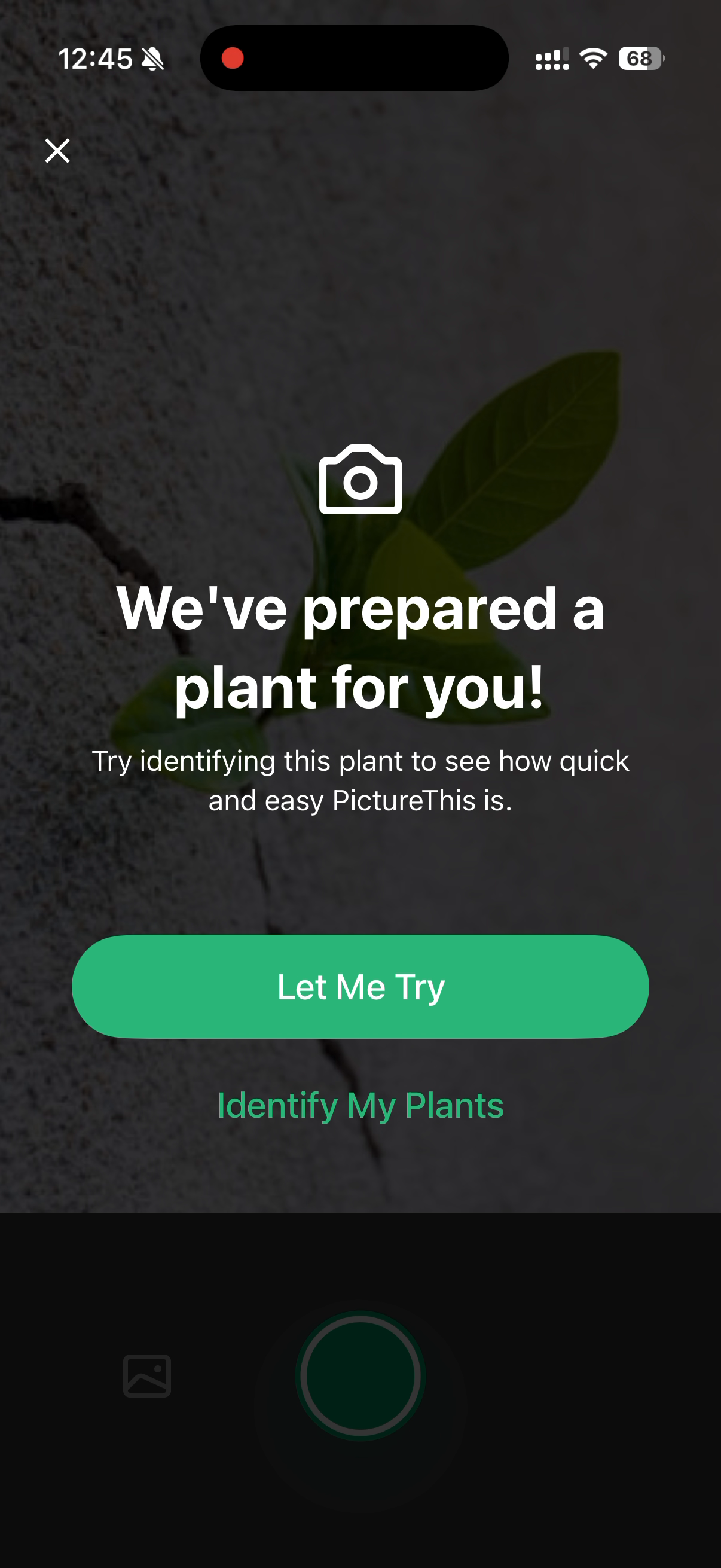 PictureThis screen inviting the user to try plant identification on a demo plant