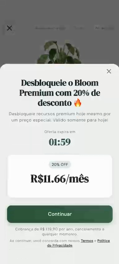 Oferta com 20% de desconto no Bloom