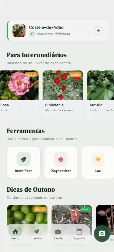 Tela inicial do Bloom