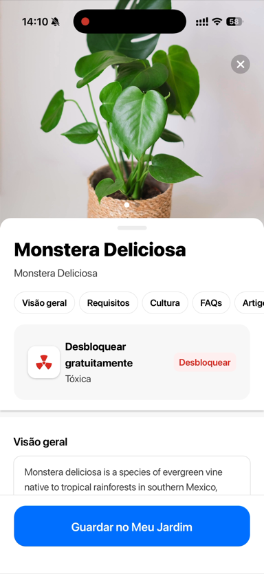 Resultado da identificação no Plantapp