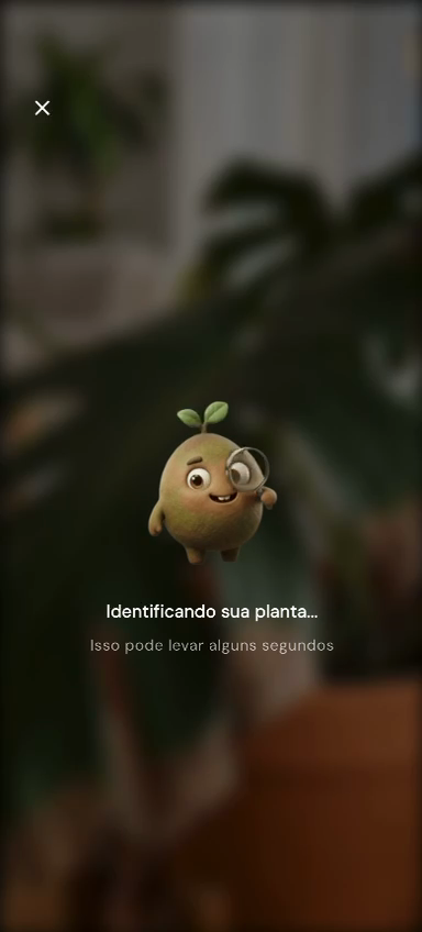Tela de carregamento no Bloom