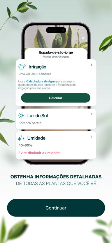 Guia de cuidados com rega, luz e umidade