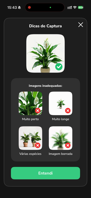 Dicas de captura de foto no PlantMe