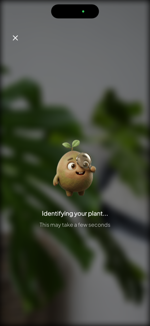 Bloom identificando una planta mientras la mascota Pip la examina con una lupa