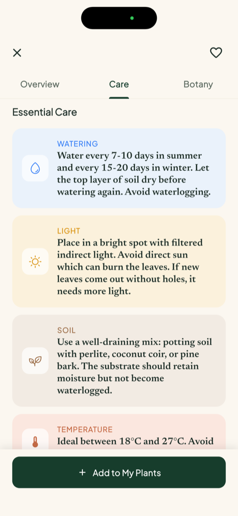 Bloom's Essential Care tab showing watering, light, soil, and temperature guidance