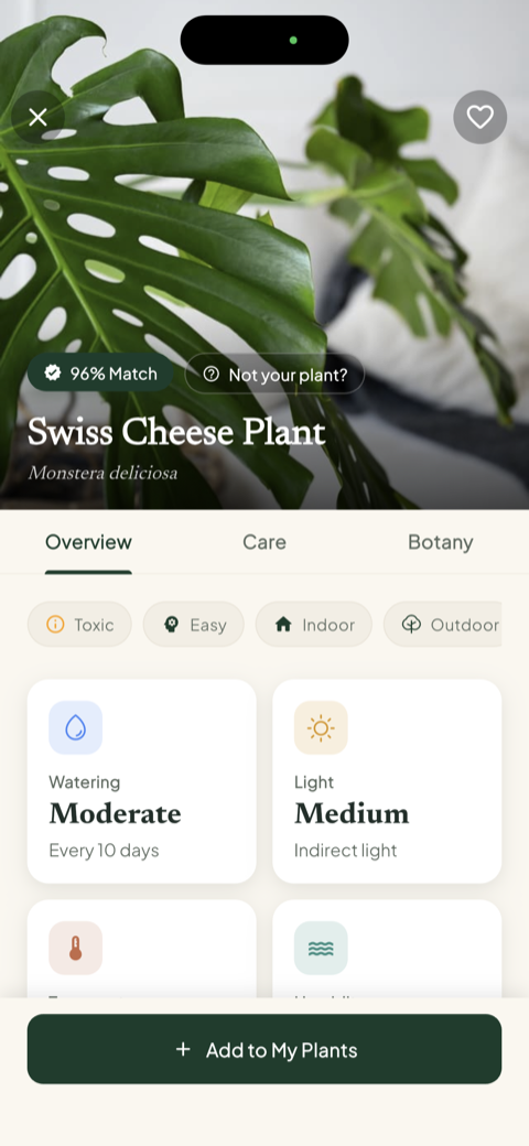 Bloom identification result showing a 96 percent match for a Swiss Cheese Plant, with watering and light guidance
