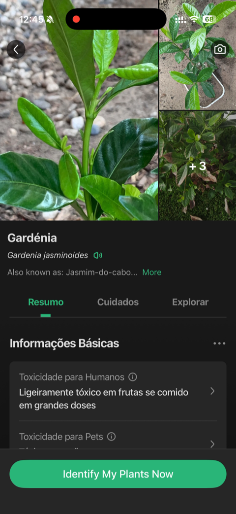 PictureThis app screen