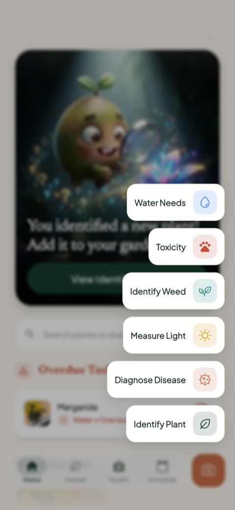 Bloom's quick action menu showing Water Needs, Toxicity, Measure Light, Diagnose Disease, and Identify Plant